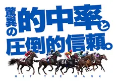 ヒットザマーク