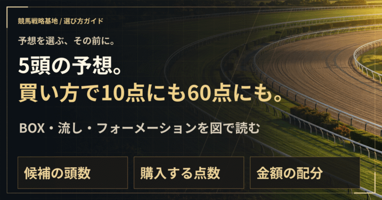 単勝・ワイド・三連単。券種が違う成績をどう読む？の解説ビジュアル